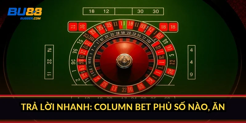 Cược cột Roulette là gì? Phủ 12 số, trả 2:1 và cách tính tiền 2 Trả lời nhanh: Column bet phủ số nào, ăn bao nhiêu