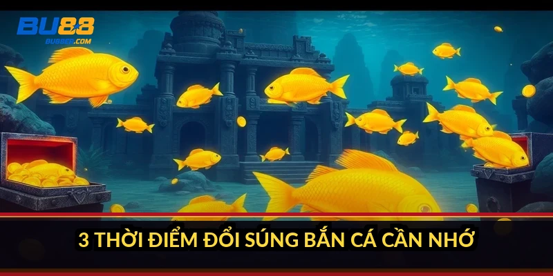 Thời điểm đổi súng bắn cá: 3 lúc phải đổi để không cháy vốn 2 3 thời điểm đổi súng bắn cá cần nhớ